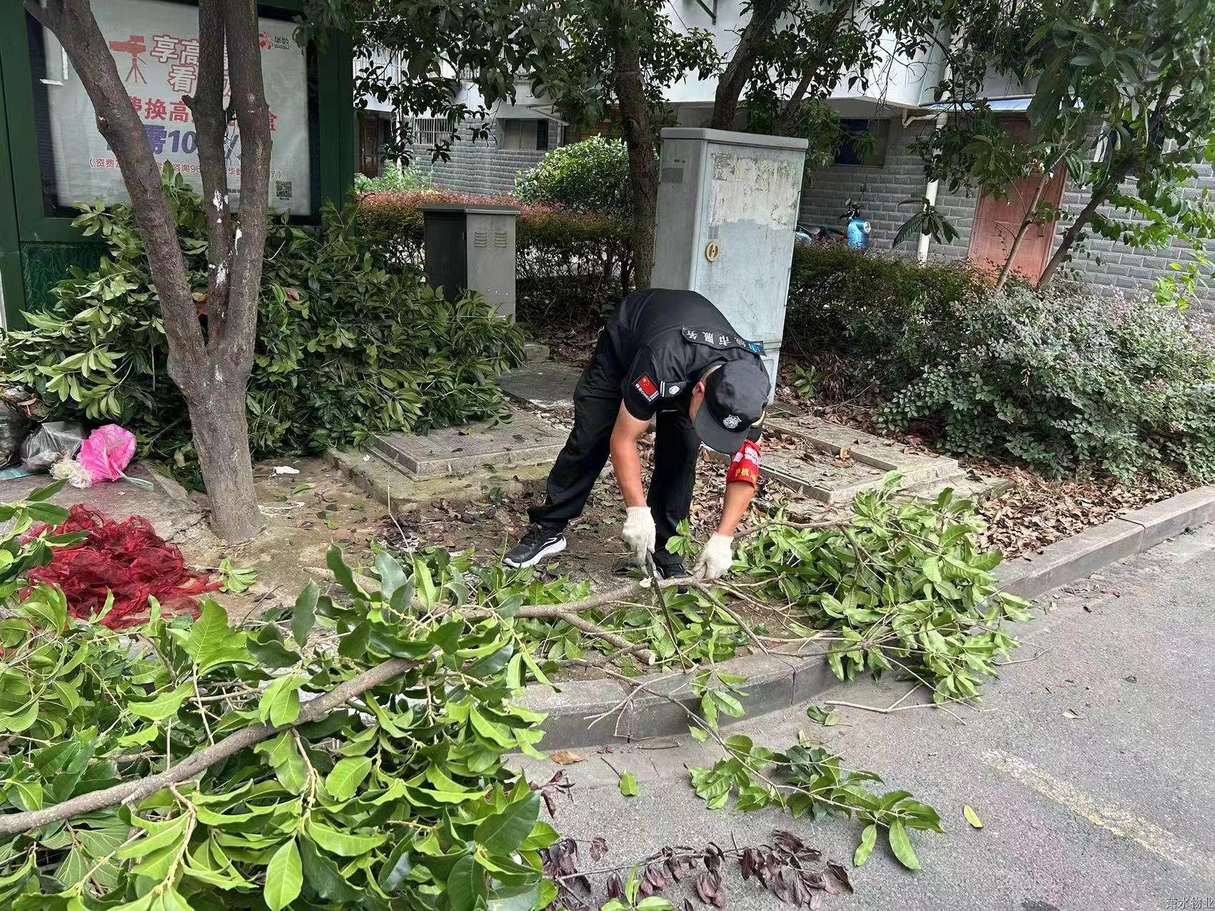 “洁”尽全力 守护优美 | 绣出高颜值，焕新老小区